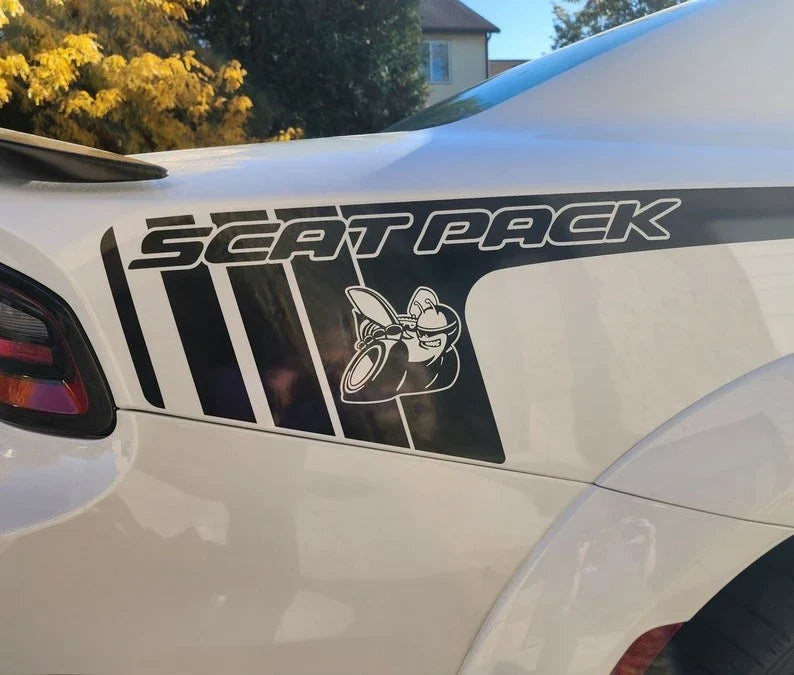 Custom Full Body Vinyl Decal Sticker Kit for Dodge Charger | Sporty Fashion Appearance-1