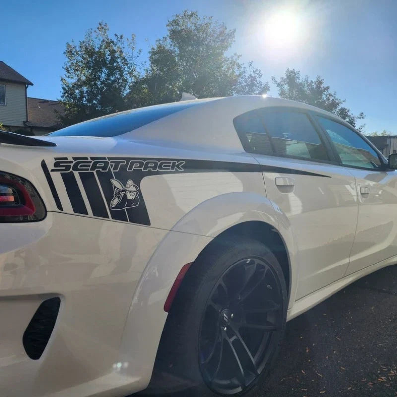 Custom Full Body Vinyl Decal Sticker Kit for Dodge Charger | Sporty Fashion Appearance-6